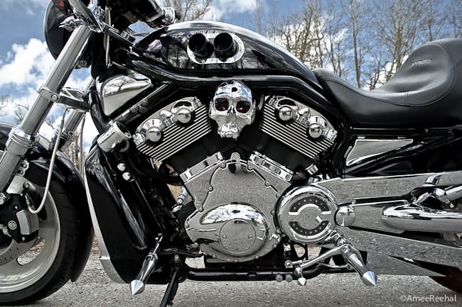 Custom Harley-Davidson V-ROD engine