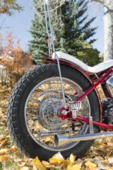 Triumph-TR6650cc-©AmeeReehal (12 of 25)