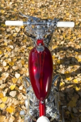 Triumph-TR6650cc-©AmeeReehal (18 of 25)