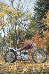 Triumph-TR6650cc-©AmeeReehal (3 of 25)