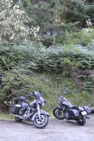 vancouver-island-harley-davidson (30 of 46)