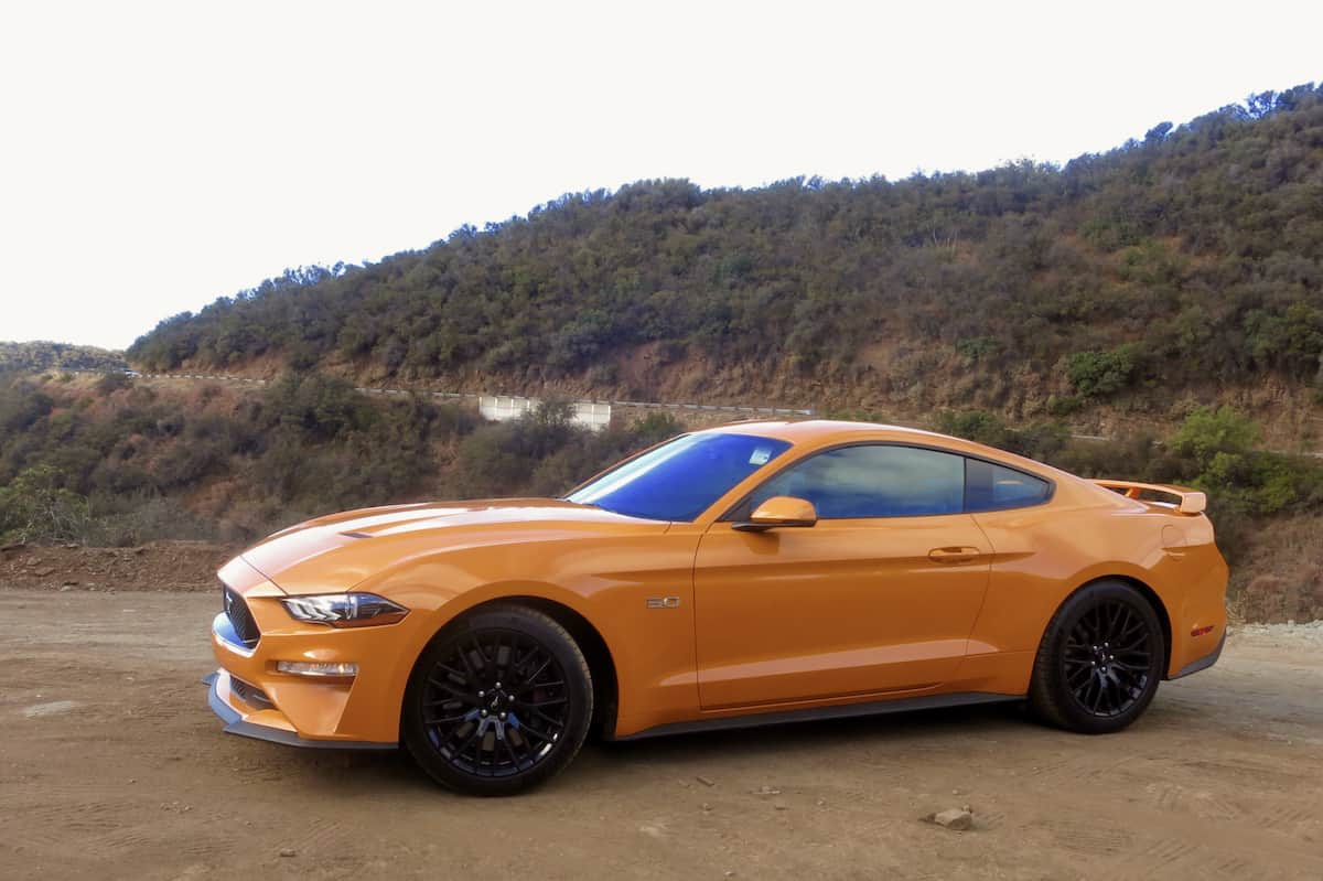 mustang1