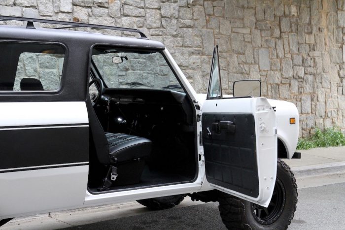 1976 INTERNATIONAL SCOUT TRAVELER door