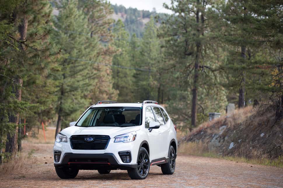 2019 subaru forester in white in forest