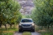 2019 subaru forester review5