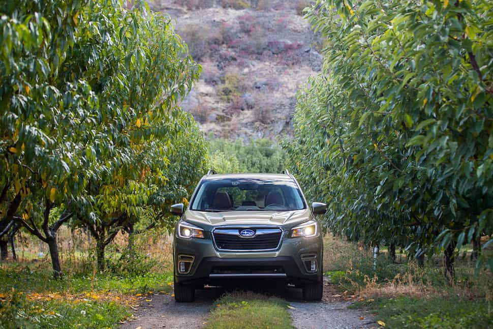 2019 subaru forester off roading in mountains