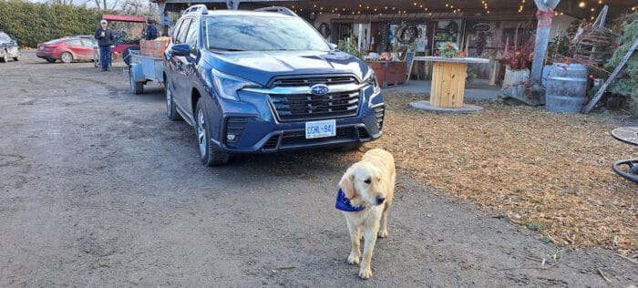 2023 Subaru Ascent towing