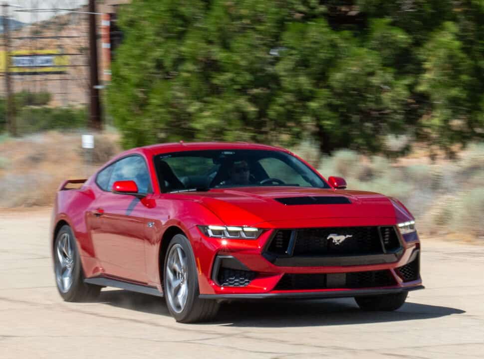 Mustang 2024 amee reehal 37