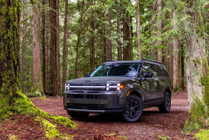 2024 Hyundai Santa Fe XRT in the Rockwood Green Pearl front profile parked in the forest