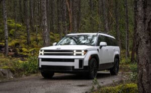 2024 Hyundai Santa Fe Ultimate Calligraphy white front view in the forest
