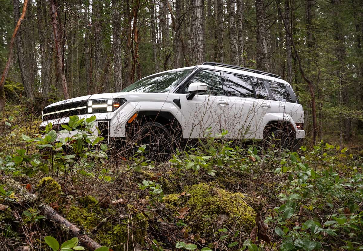 2024 Hyundai Santa Fe Ultimate Calligraphy white side view in the forest