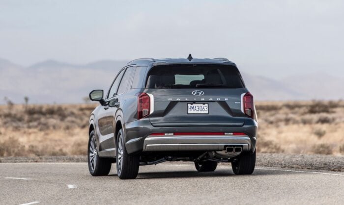 Palisade rear