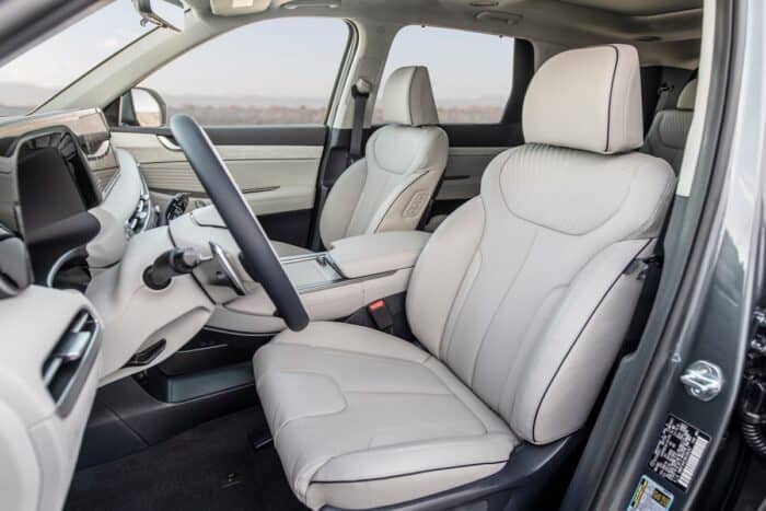 Palisade interior