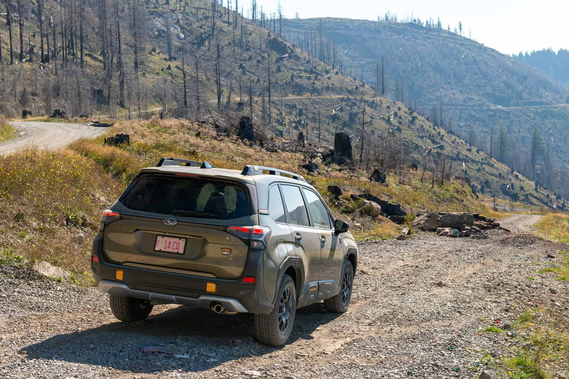 2026 Subaru Forester Wilderness rear in mountains