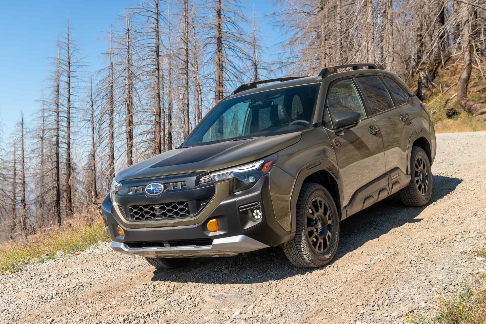 2026 Subaru Forester Wilderness front