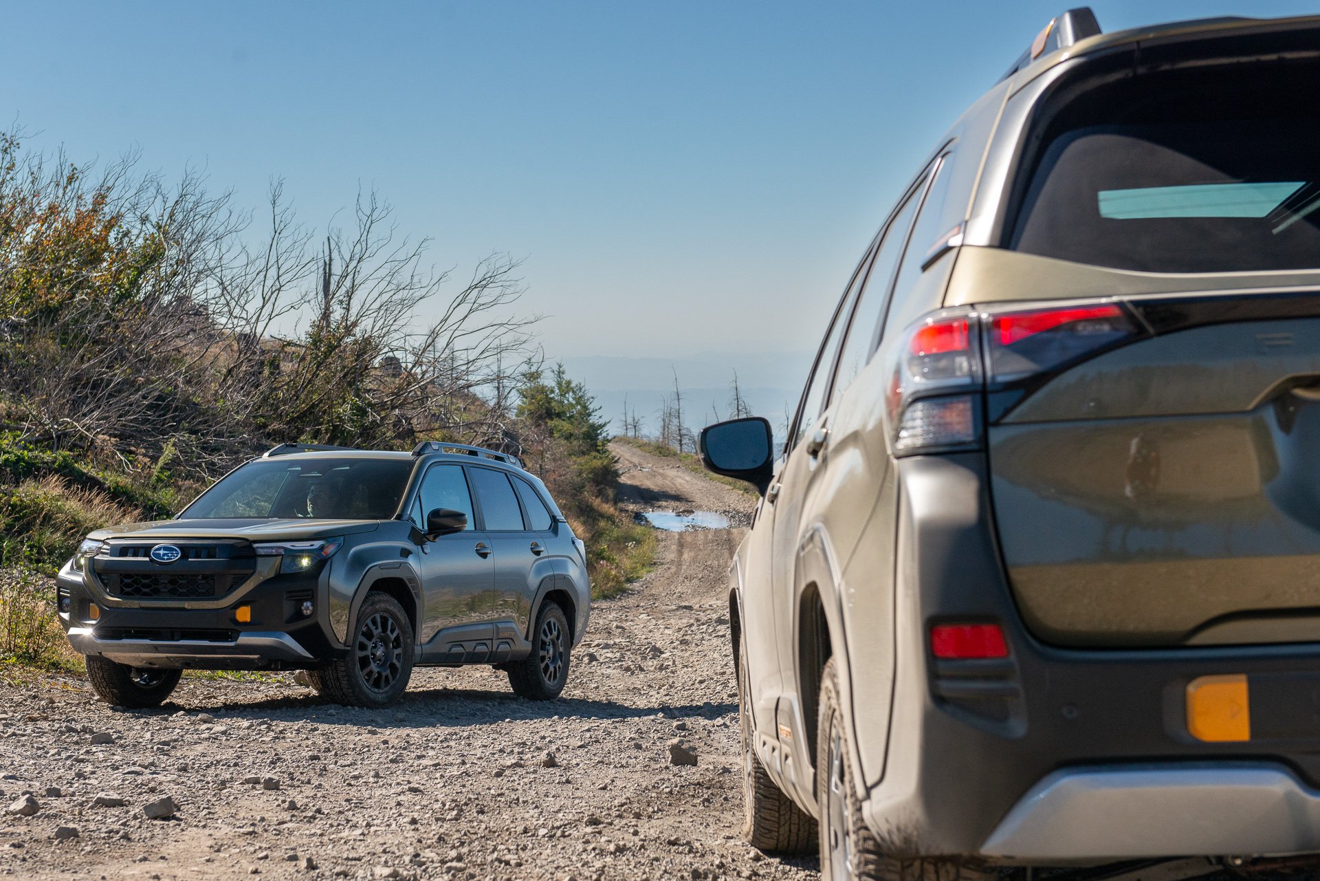 2026 Subaru Forester Wilderness front and rear