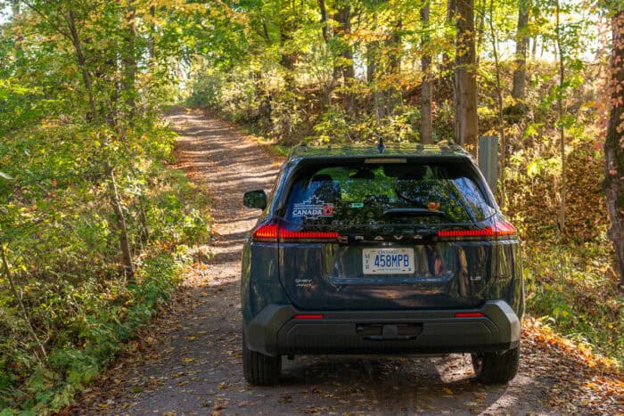 2026 Toyota RAV4 LE rear in the woods